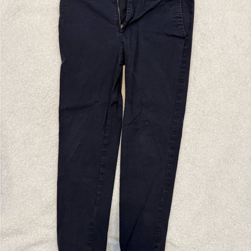 Banana Republic Navy Chino Pants